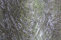 Easton Town fibreglass roof work